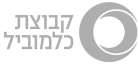 קבוצת כלמוביל